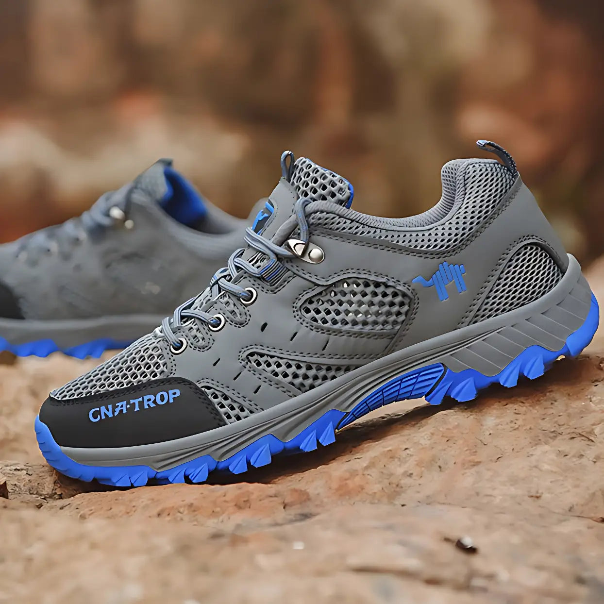 Chaussures de marche randonnée