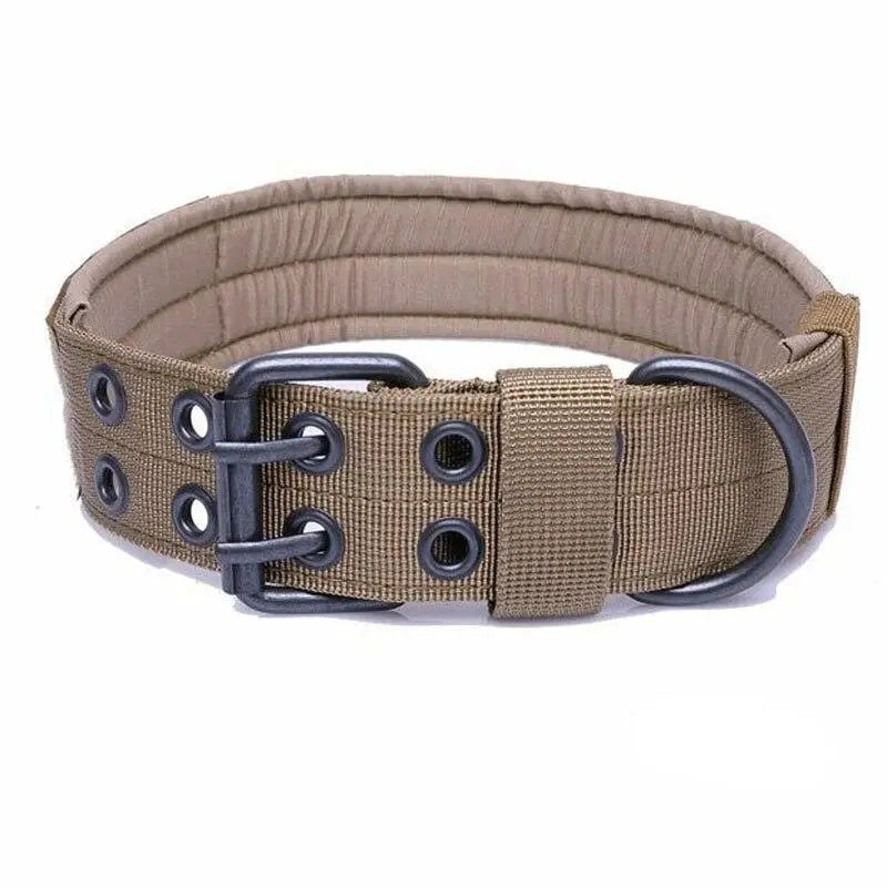Collier chien militaire
