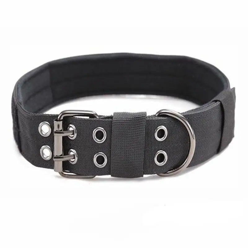 Collier chien militaire