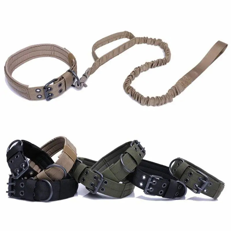 Collier chien militaire