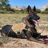 GILET TACTIQUE - POUR CHIENS