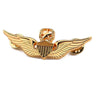 Insigne militaire aviation