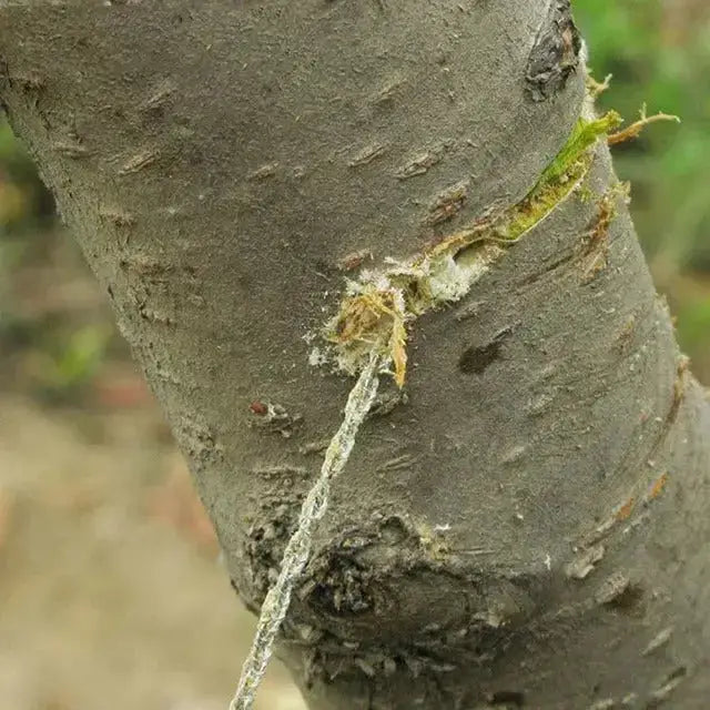 KIT DE SURVIE - 13 EN 1