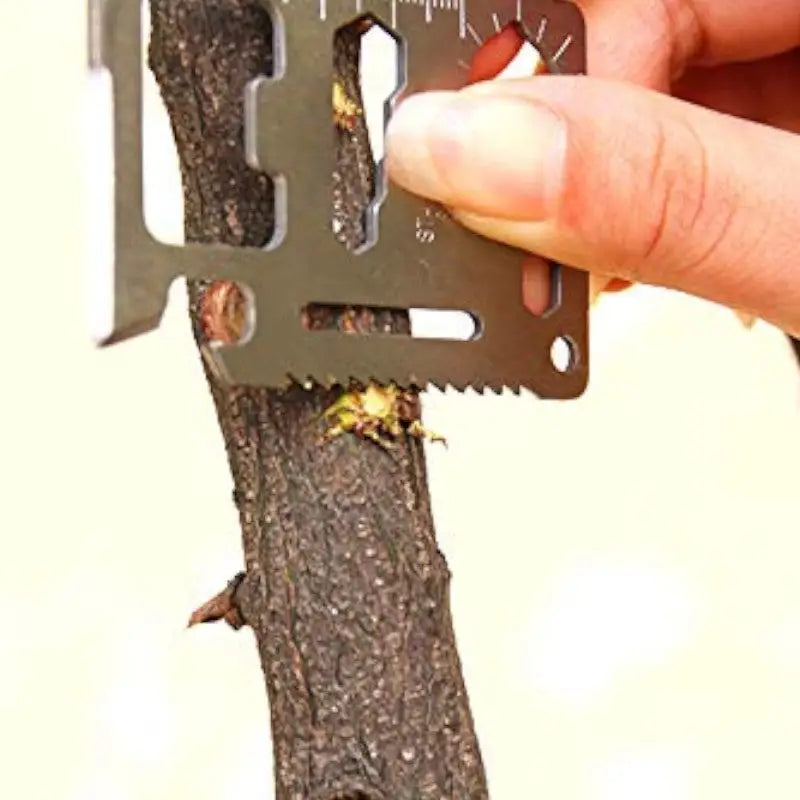 KIT DE SURVIE - LION