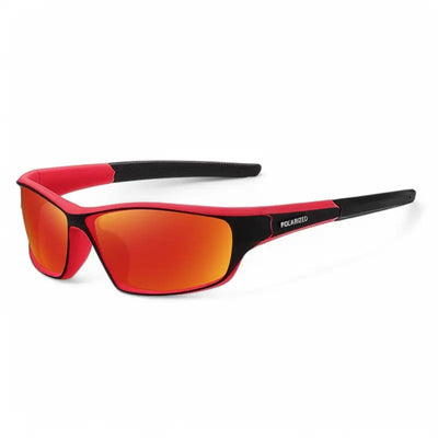 Lunettes à verres polarisants