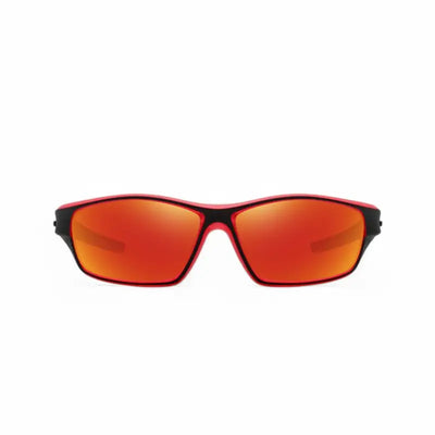 Lunettes à verres polarisants