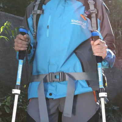 Meilleur bâton de randonnée