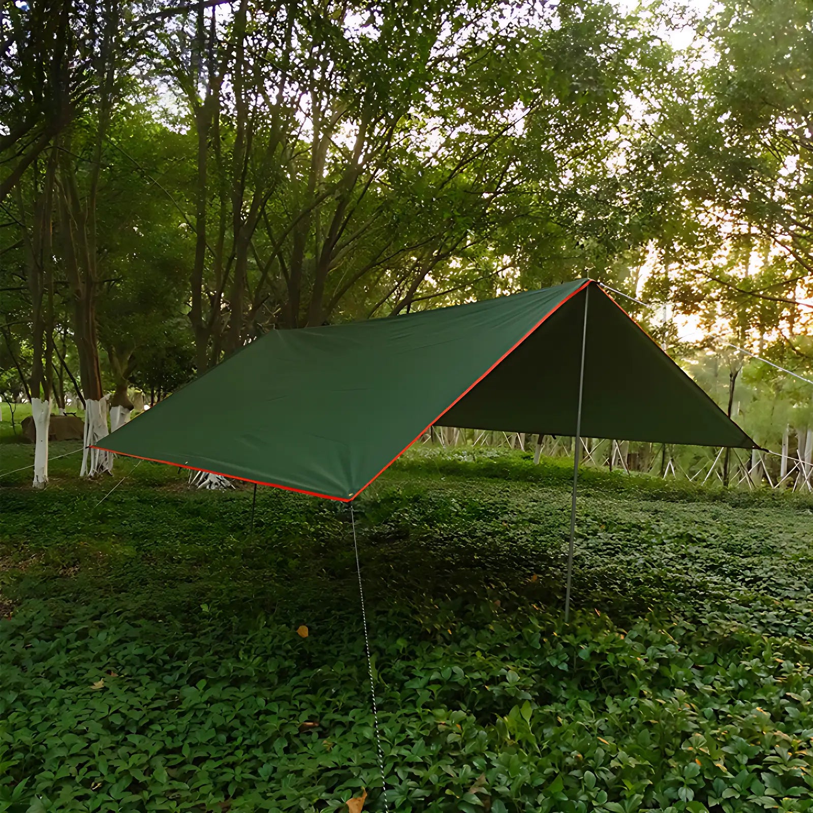 Tarps